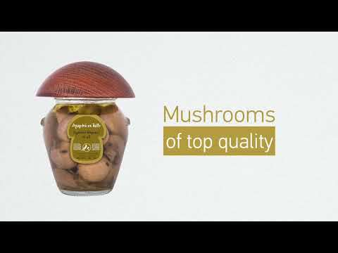 Golden Boletus Porcini Mushrooms in Greek olive Oil - 10.20oz - Mushroom Museum - OLYMPICCO.COM