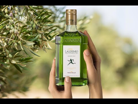 Frescobaldi Laudemio Extra Virgin Olive Oil - 2023/2024 Freshly Pressed Harvest - OLYMPICCO.COM